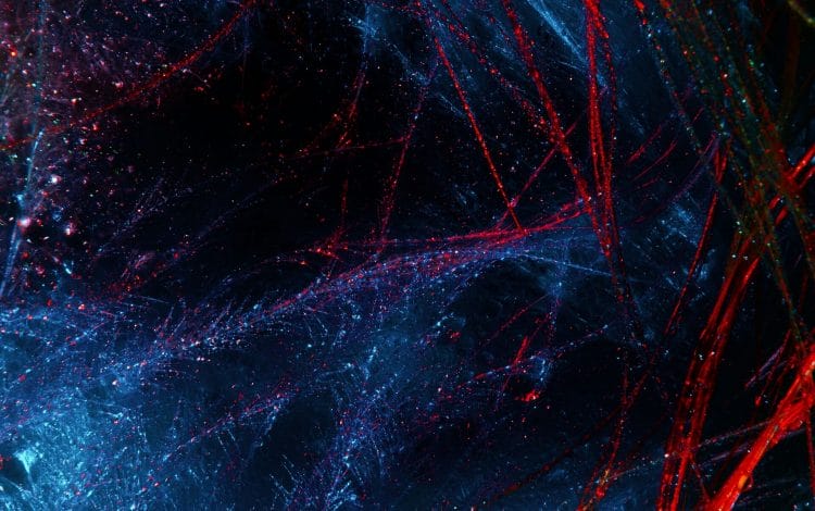 A network of red and blue fibers with speckles of light, resembling a celestial scene or neural pathways.