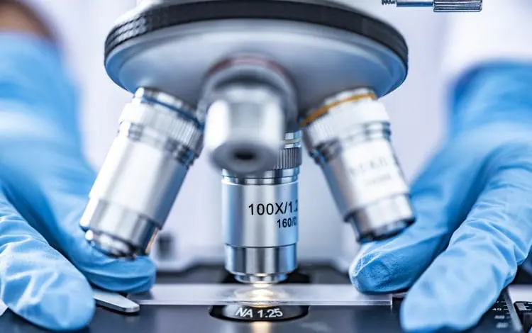 Close-up of a scientist's gloved hands adjusting a microscope, focusing on a sample for detailed analysis.