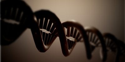 Close-up view of a DNA double helix structure with a dark, blurred background.