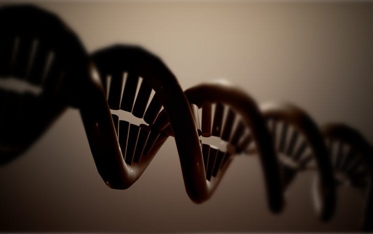 Close-up view of a DNA double helix structure with a dark, blurred background.