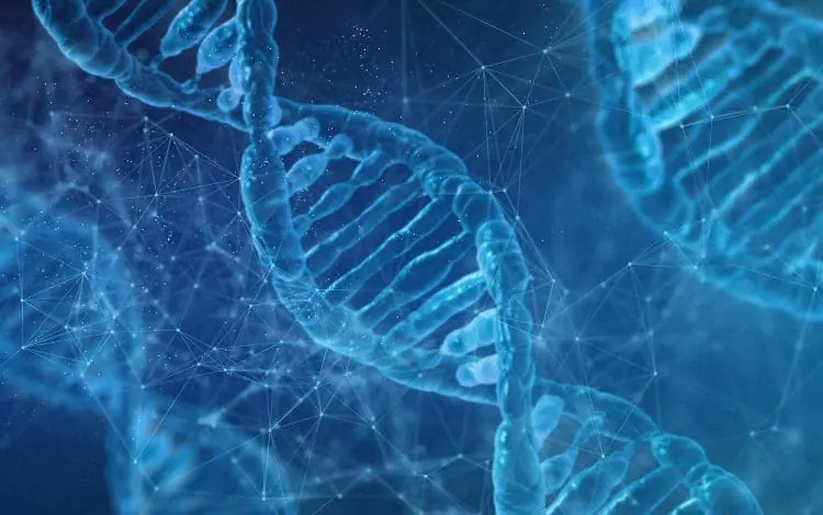 Detailed illustration of a DNA double helix with interconnected nodes and lines