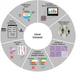 Automatic Prostate Cancer Detection & the Role of Data - ZONTAL