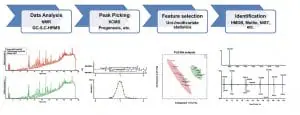 Figure 2 Schematic of a typical untargeted metabolomics workflow including data analysis, feature detection (peak picking), statistical evaluation and compound identification. [1]