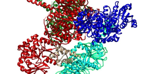 Reshaping Nature’s Molecular Machinery for Better Drugs