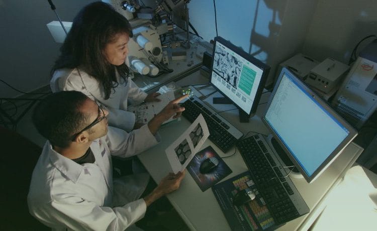 Webinar Enhance Processes from R&D to GMP Manufacturing synTQ and ZONTAL Integration (2)